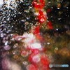 水浴び(Water drops of rose garden)
