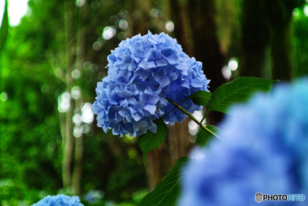 雨粒が見える…