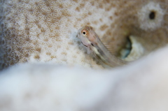 ん？