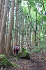登山
