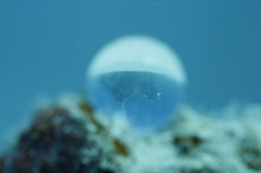 白い砂浜のダイバー