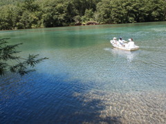 P8281349