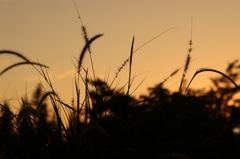 20130923.232728