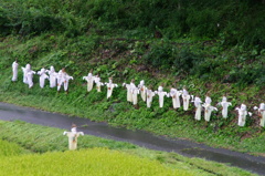 田んぼアートー２