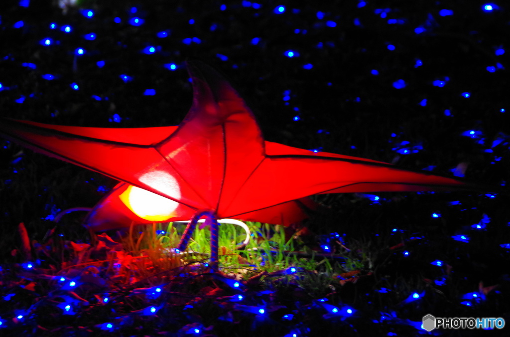元渕江公園イルミネーションー１