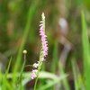 荒川自然公園ー５