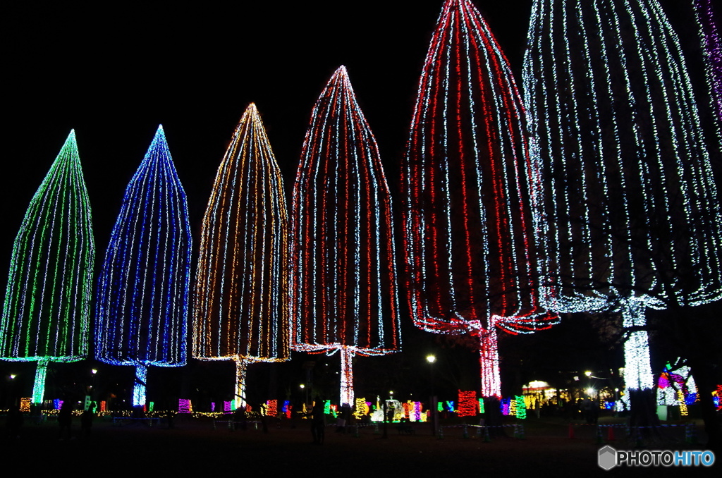 元渕江公園イルミネーションー４