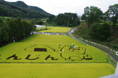 田んぼアートー１