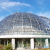 夢の島熱帯植物館