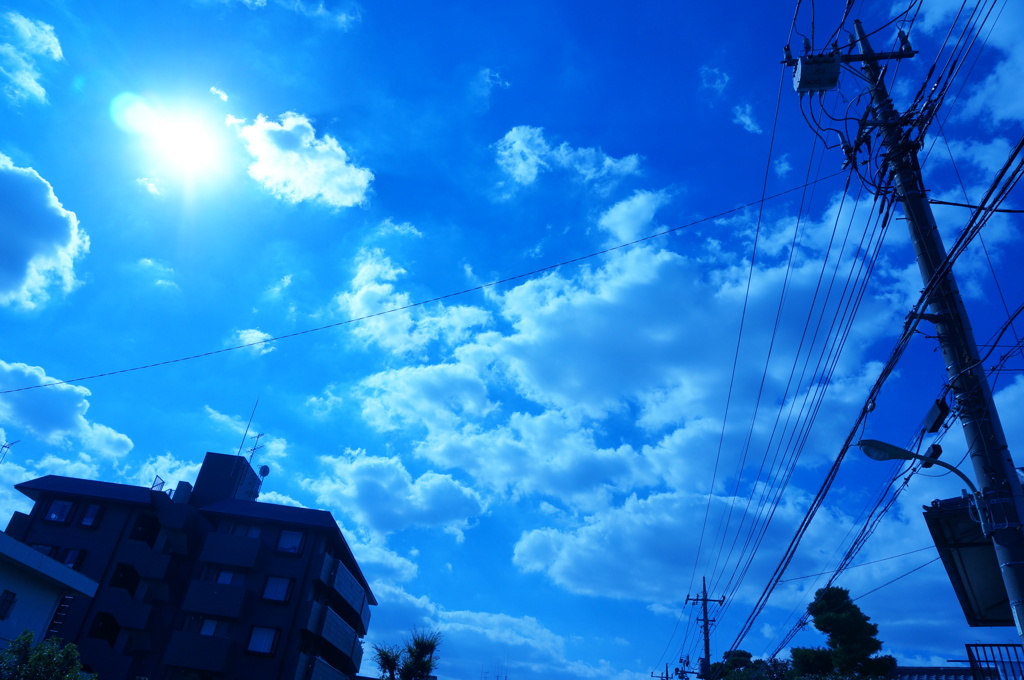 DSC00422