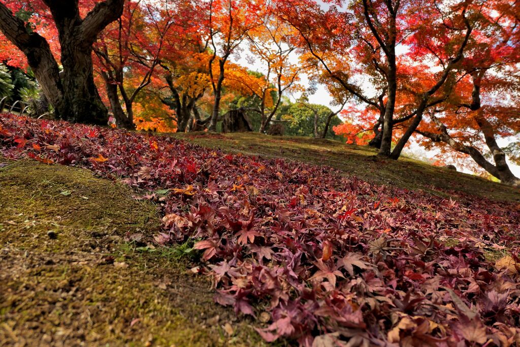 岡山後楽園