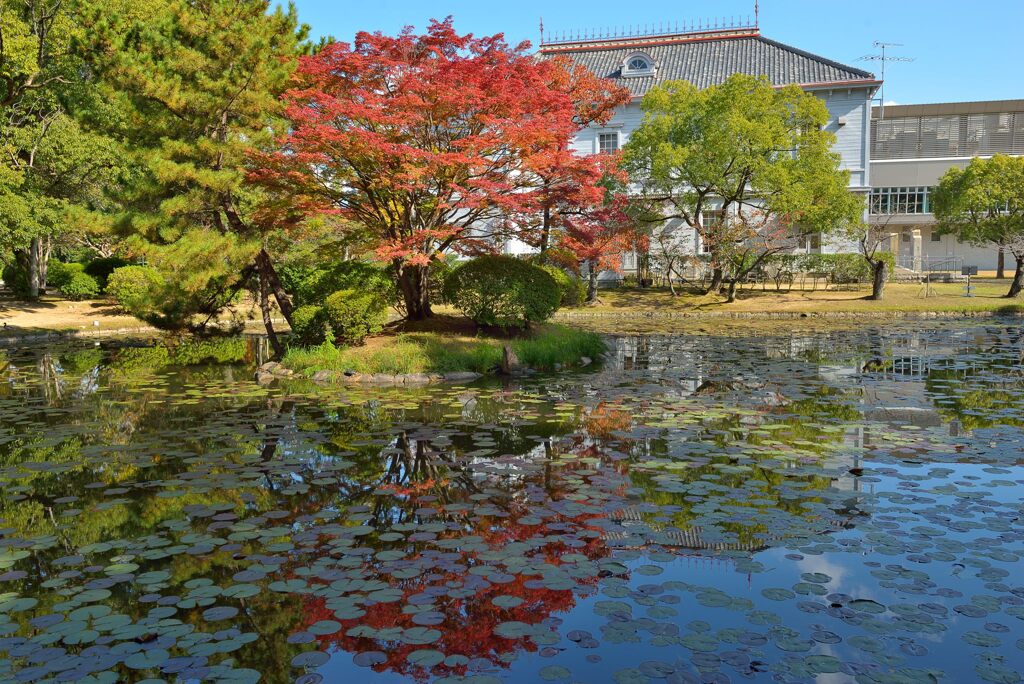 岡山県総合グラウンド