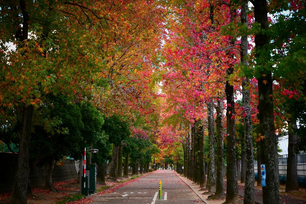 岡山県総合グラウンド