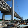 瀬戸大橋