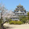岡山後楽園周辺の桜