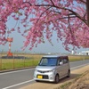 河津桜