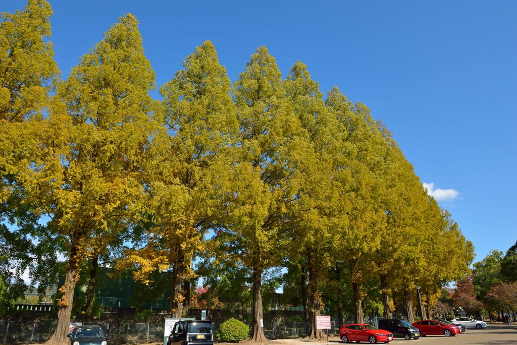 岡山県総合グラウンド