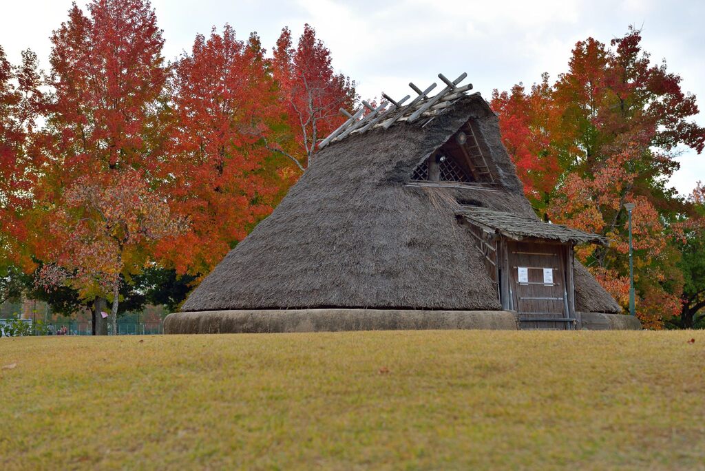 岡山県総合グラウンド
