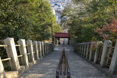 國神社