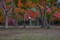 岡山後楽園