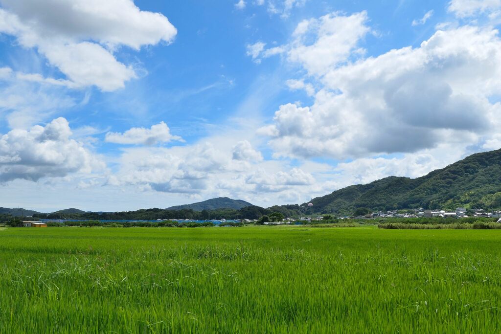 夏空