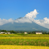 実りの秋　大山