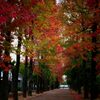 岡山県総合グラウンド