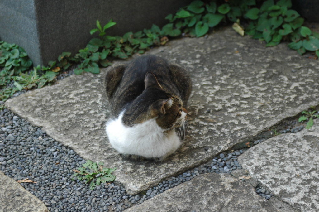 あっ
