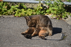 取り込み中