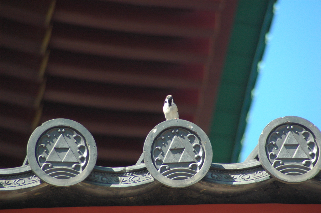 目が合いました