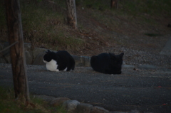 つーん