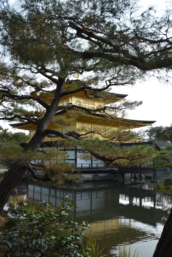 金閣松池