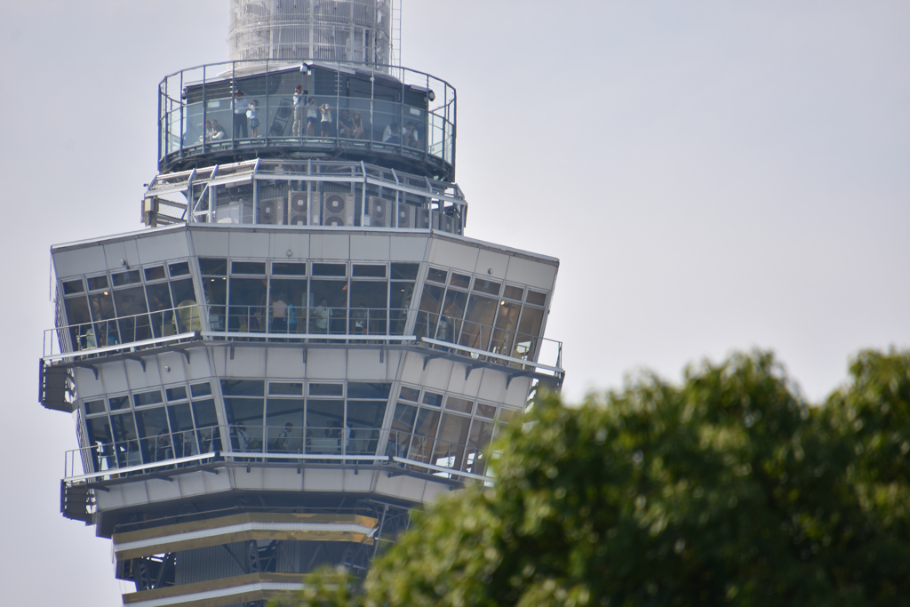 タムロン超望遠試写TAMRON18-400mm F/3.5-6.3 Di I