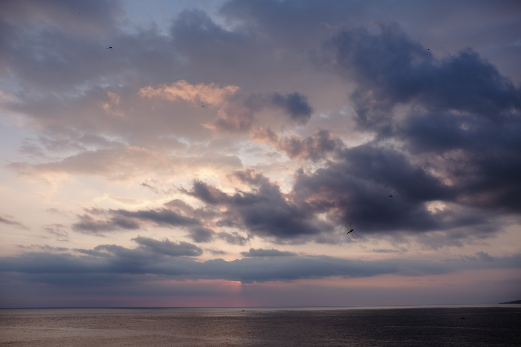 半島の空（赤蜻蛉と共に）