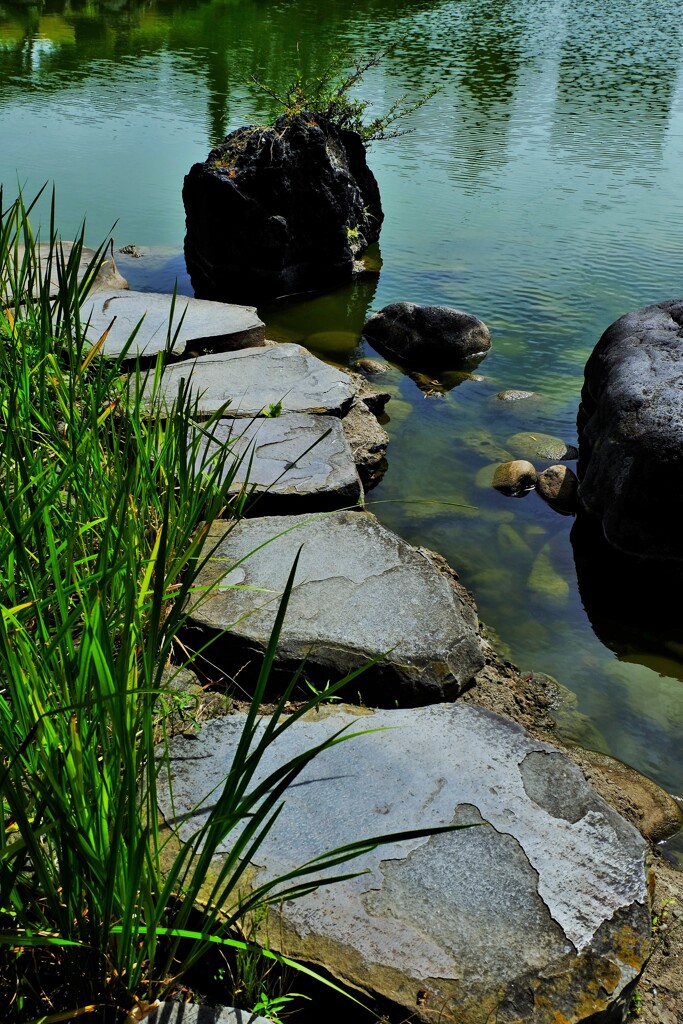 池の端