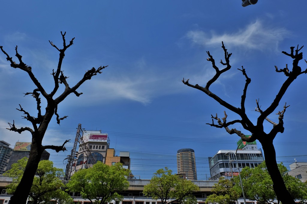 テレパシー