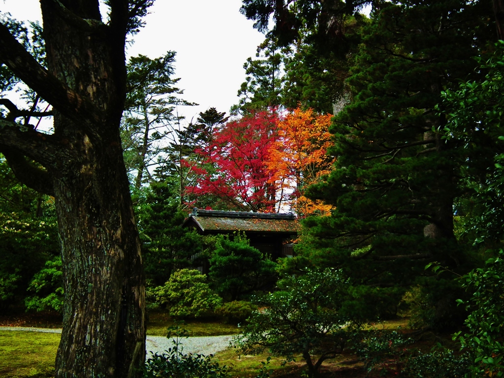 修学院離宮
