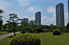 オアシス