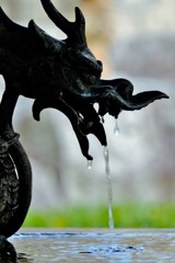 龍の雫