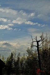 冬雲