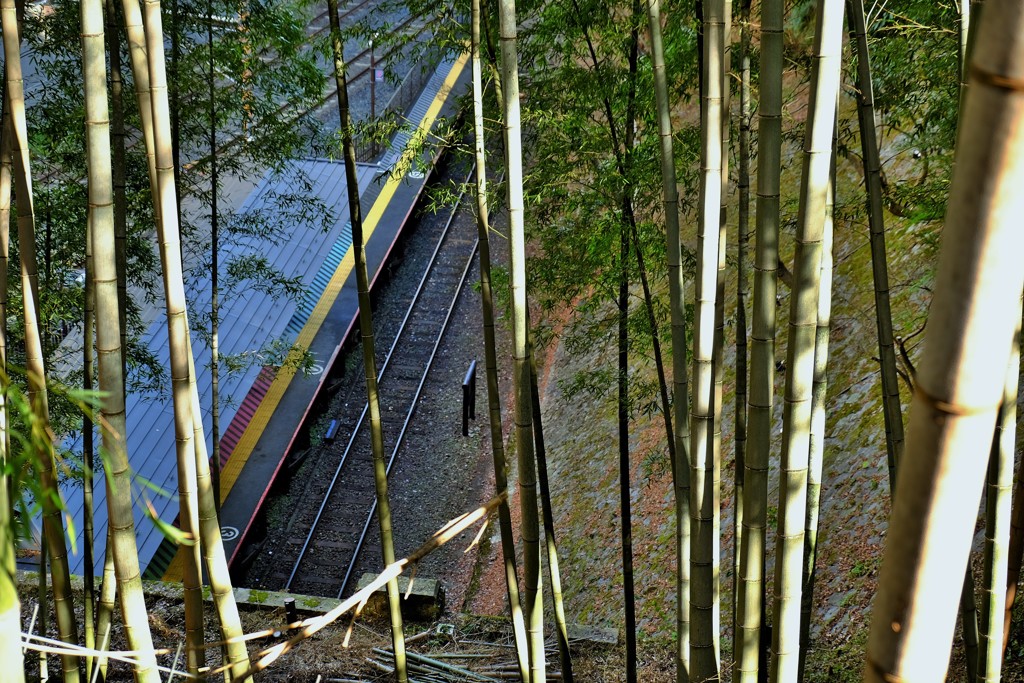 竹林の駅