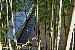 竹林の駅