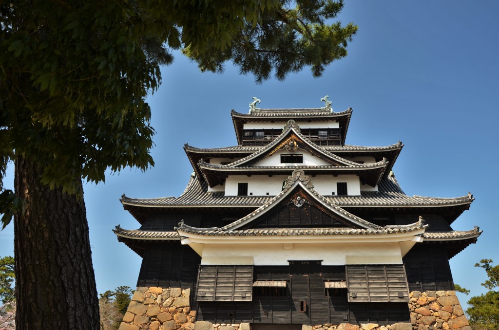 城と松