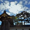 沸く