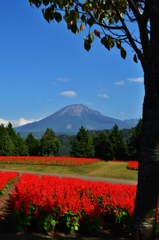 大山