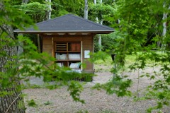 森の図書館