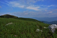 初夏の空