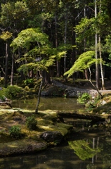 苔寺