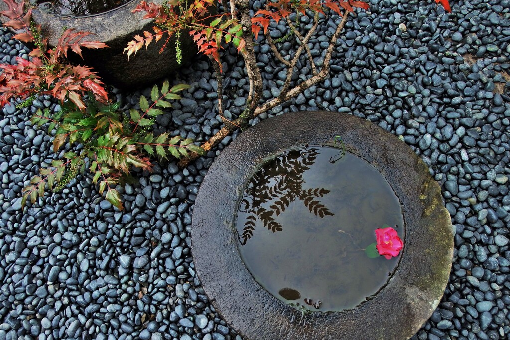 道端一輪