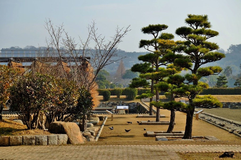 風流